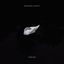 Cover Swan (Techno)