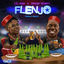 Cover Flenjo