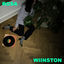 Cover Rosa