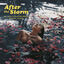 Cover After The Storm