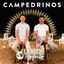 Cover La Noche Perfecta