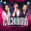 Cover Cachorro (Ao Vivo)