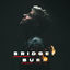 Cover Bridges Burn