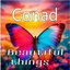 Cover Beautiful things