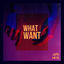 Cover What I Want