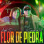 Cover Flor de Piedra: Sin Miedo Session #38 (En Vivo)