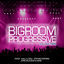 Cover Progressive Bigroom, Vol. 2