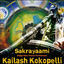 Cover Sakrayaami: Didgeridoo Trance Formations