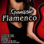 Cover Spanische Flamenco