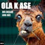 Cover Ola K Ase