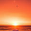 Cover Suset Breeze