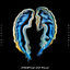 Cover Ready To Fly (Sub Focus & Dimension)