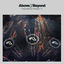 Cover Anjunabeats Volume 11