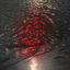 Cover RED III