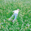 Cover Nurture