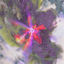 Cover Earth-Related System