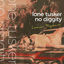 Cover No Diggity