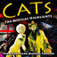 Cover Cats