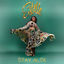 Cover Stay Alta