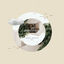 Cover Ambling