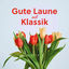 Cover Gute Laune mit Klassik