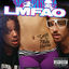 Cover Sorry For Party Rocking