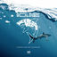 Cover Megalodon rep