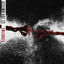 Cover Tolerate
