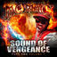 Cover Sound of Vengeance: Pure Ana Volume 7