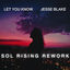 Cover Let You Know (Sol Rising Rework)