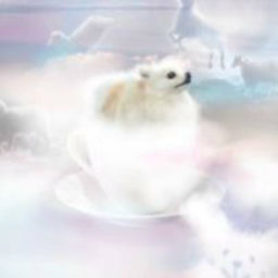 ''