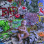 Cover BAD ASS F*CKING KID