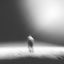 Cover Astral Projection