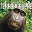 Cover Tiergarten