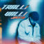 Cover Tralli-Valli