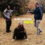 Cover Bugg de