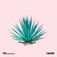 Cover Agave
