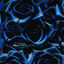 Cover Bleu Magik