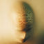 Cover Faceless