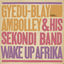 Cover Wake Up Afrika