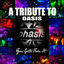 Cover A Tribute to Oasis (You Gotta Fake It)