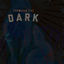 Cover Through the Dark