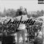 Cover Locally