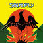 Cover Primitive