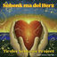 Cover Schenk ma dei Herz (Andy Rivella Fox-Mix)