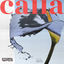 Cover calla