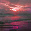 Cover Horizon