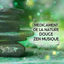 Cover Médicament de la nature (Douce zen musique d'ambiance, Chants d’oiseaux, Son de l’eau, Forces de la terre et du ciel, L’atmo