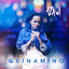 Cover Quinamino