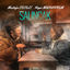 Cover Salıncak